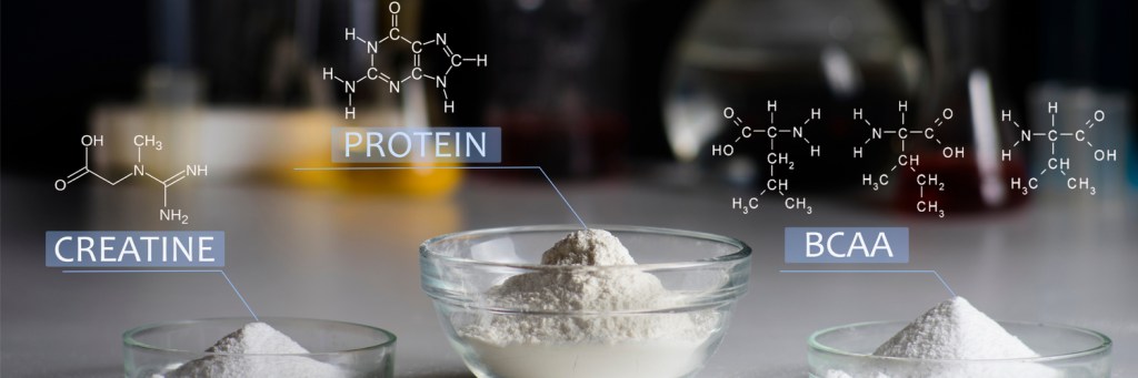 Which Proteins When? A Weight Trainer’s Guide to Protein&nbsp;Supplementation