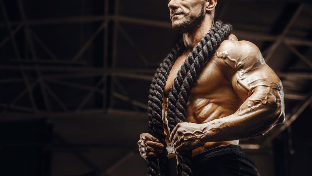 Harnessing the Power of C9-T11: A Natural Alternative to Anabolic&nbsp;Steroids